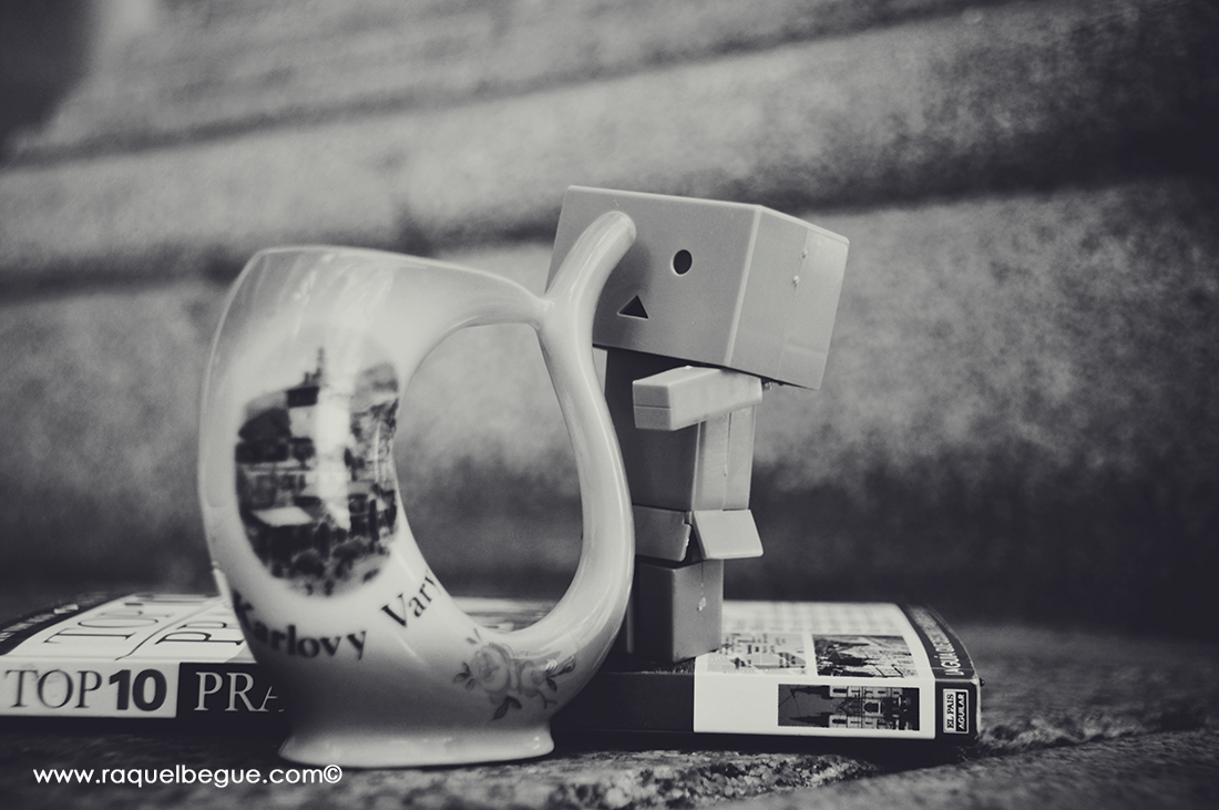 Danbo - Karlovy Vary karlovyvary-danbo