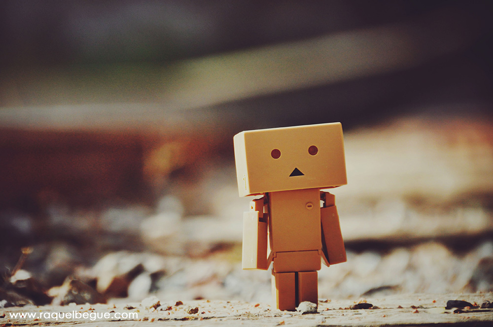 Danbo Mines de Cerc Danbo Mines de Cerc