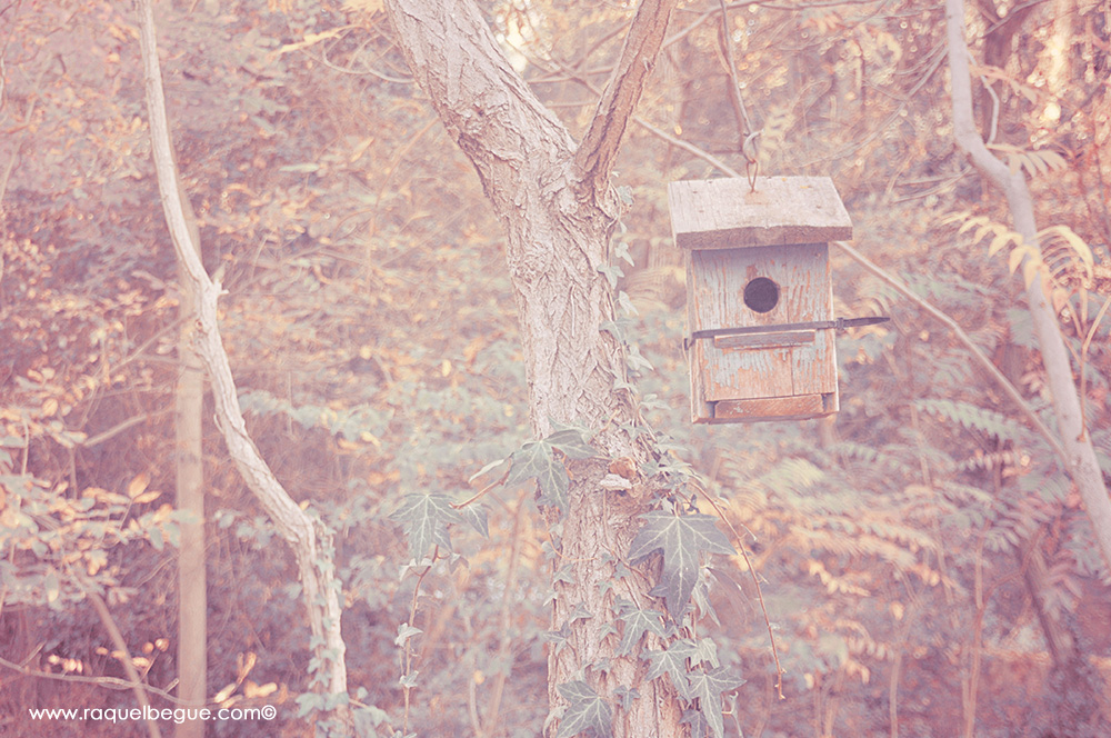 naturaleza-parque naturaleza-parque