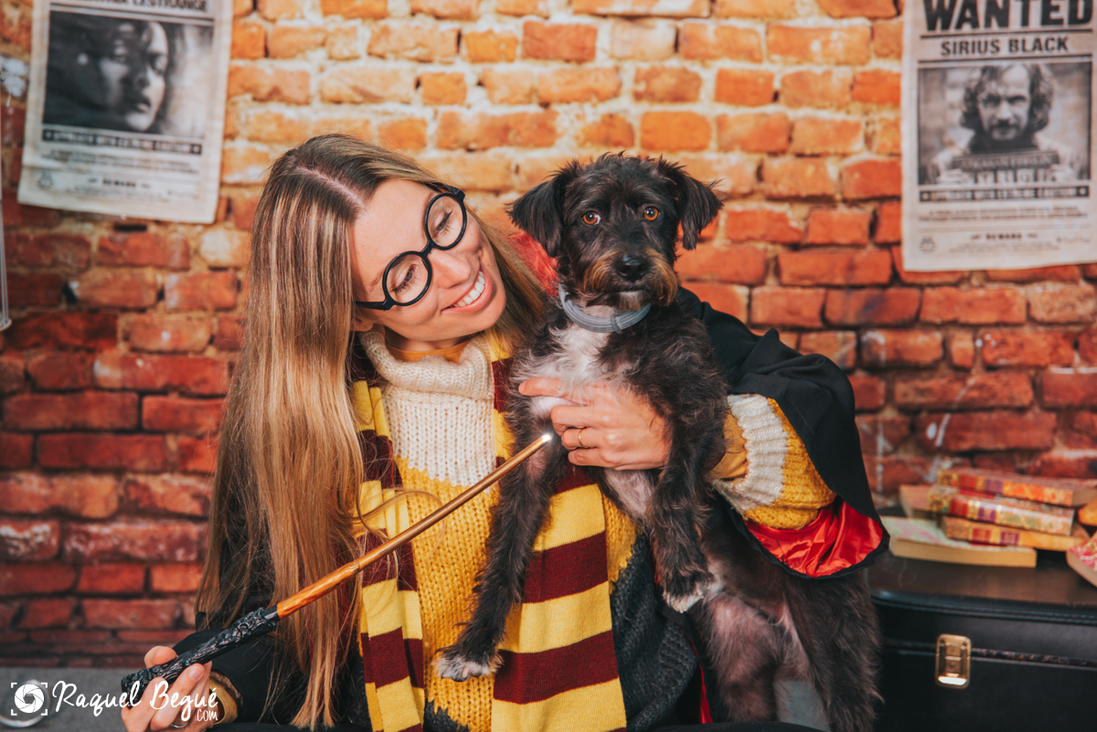 Sesión harry potter con perro
